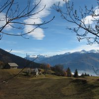 gal_automne_00004