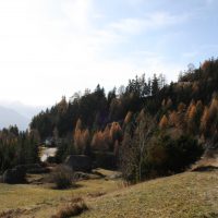gal_automne_00010