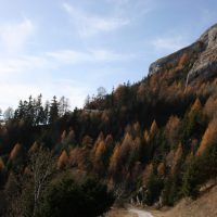 gal_automne_00011
