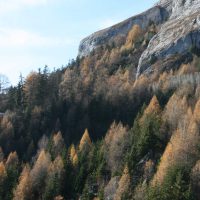 gal_automne_00012