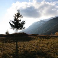 gal_automne_00014