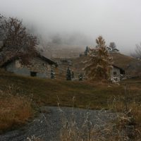 gal_automne_00016