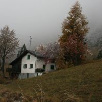 gal_automne_00019