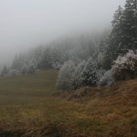 gal_automne_00020