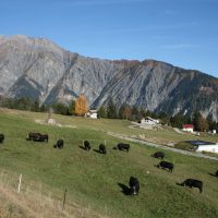 gal_automne_00023