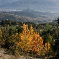 gal_automne_00030