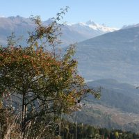 gal_automne_00031
