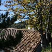 gal_automne_00032