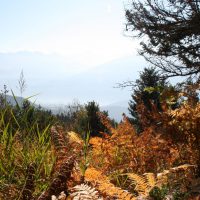gal_automne_00033