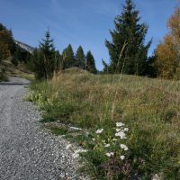 gal_automne_00039