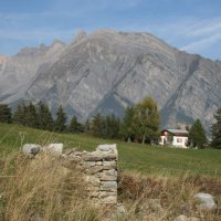 gal_automne_00040