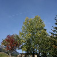 gal_automne_00042