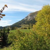 gal_automne_00044