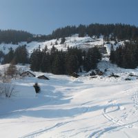 gal_hiver_00004