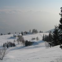 gal_hiver_00005