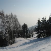 gal_hiver_00007