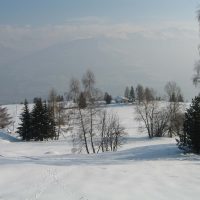 gal_hiver_00011