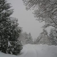 gal_hiver_00013