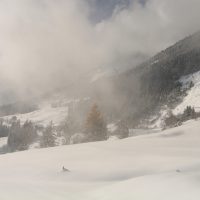 gal_hiver_00016