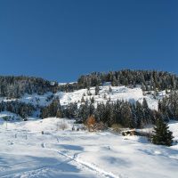 gal_hiver_00022