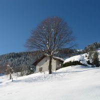 gal_hiver_00024