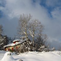 gal_hiver_00025