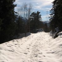gal_hiver_00027