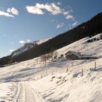 gal_hiver_00028