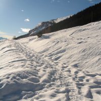 gal_hiver_00029
