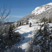 gal_hiver_00037