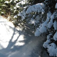 gal_hiver_00040