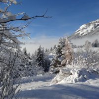 gal_hiver_00052