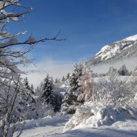 gal_hiver_00053