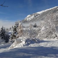 gal_hiver_00054