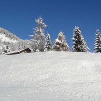 gal_hiver_00056